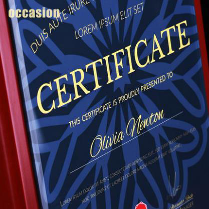 授权牌奖牌定制定做木质奖牌荣誉牌牌匾定制聘书室内设计师资格证 商品图2