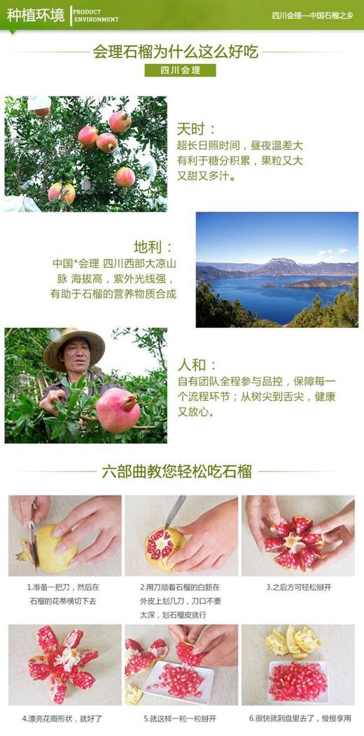 甘甜多汁四川突尼斯软籽石榴 商品图7