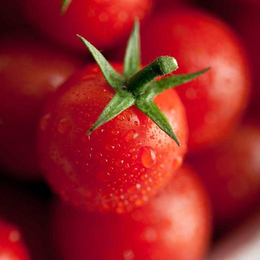 【全国包邮】春沐源樱桃番茄安第斯红小番茄小时候的味道 商品图3