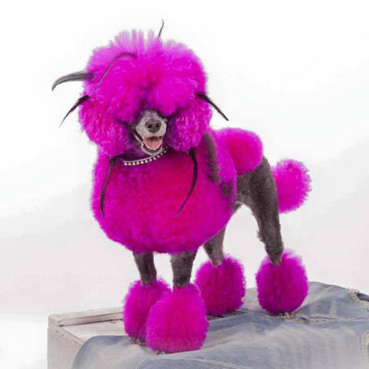 宠物持久染色剂：枚红色Adorable Pink OPAWZ小爪印 商品图3