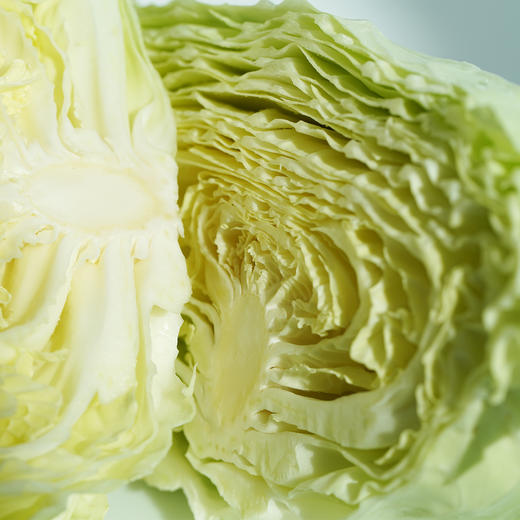 圆白菜750克左右目前批次有起苔长花介意慎拍 商品图1