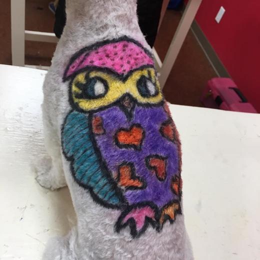 暂时性染色-染色蜡笔（新款带闪粉） OPAWZ小爪印 商品图3