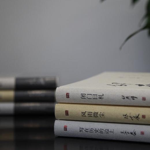 邵燕祥、王学泰、陈丹晨私人著作！《名家读史笔记》三位中国当代文坛影响力学者通力合作，谈论社会、评说人生 商品图8