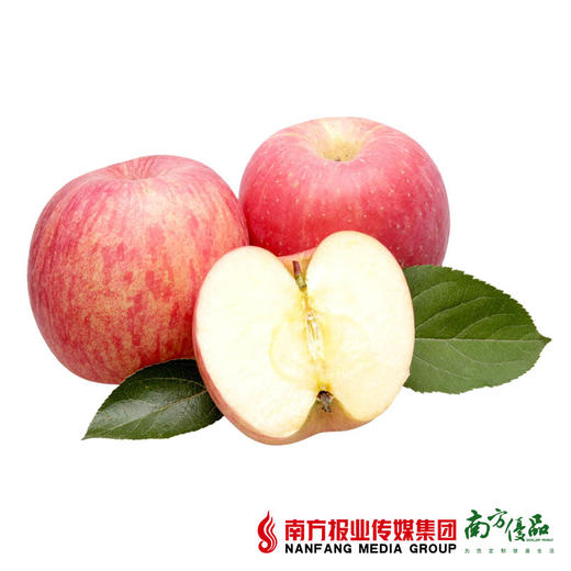 【脆甜多汁】云南野生苹果礼盒装 7-8斤（70-75mm） 商品图1