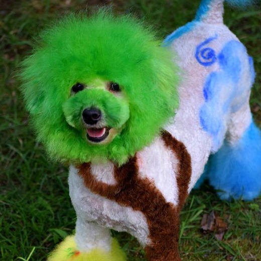 宠物持久染色剂：深绿色Profound Green OPAWZ小爪印 商品图2