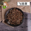 中药材批发 大飞扬草 飞扬草  广西 1000克/500克 商品缩略图0