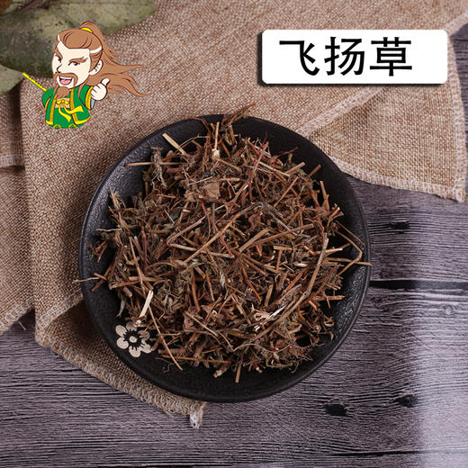 中药材批发 大飞扬草 飞扬草  广西 1000克/500克 商品图0