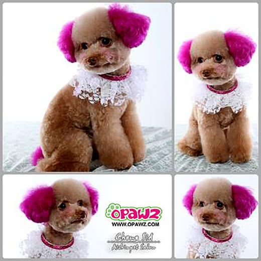 宠物持久染色剂：枚红色Adorable Pink OPAWZ小爪印 商品图2