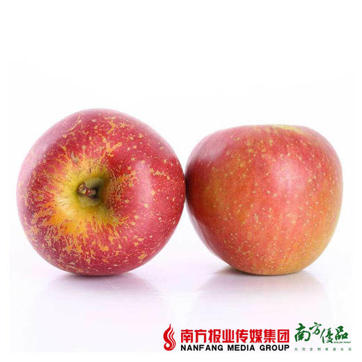 【脆甜多汁】云南野生苹果礼盒装 7-8斤（70-75mm） 商品图2