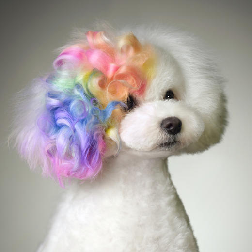 暂时性染色-喷染棒 OPAWZ小爪印 商品图2