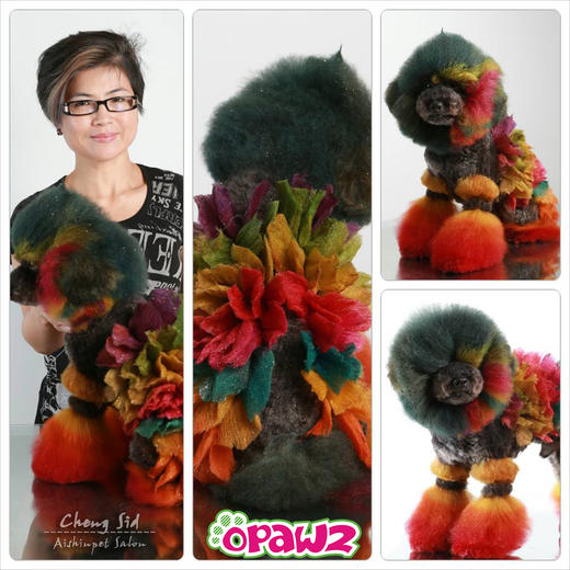 宠物持久染色剂：红色Hot Red OPAWZ小爪印 商品图10