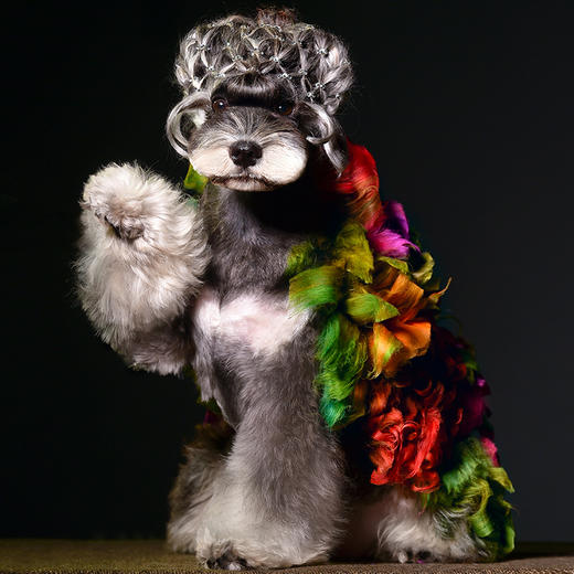 宠物持久染色剂--小瓶套装 OPAWZ小爪印 商品图8