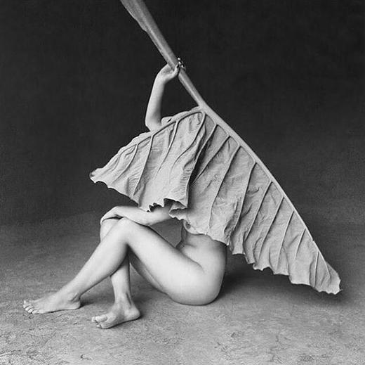 tian遍全身指南-【爱经课堂】 商品图0