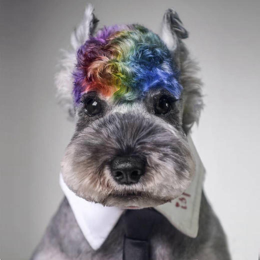 暂时性染色-喷染棒 OPAWZ小爪印 商品图1