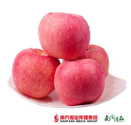 【肉密多汁】2018年新果 洛川新红富士苹果  约5斤 （果径80-85mm） 商品图0