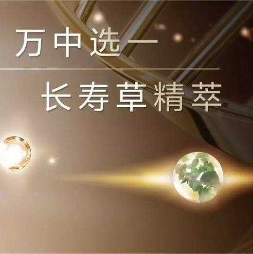 雅姿恒时凝颜精华乳/30毫升/抚平细纹/隐匿皱纹/肌肤重给光泽润滑紧实的年轻状态 商品图3