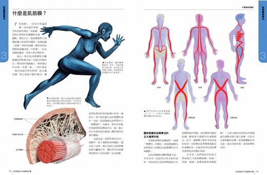 【中商原版】肌筋膜徒手按摩解剖书：5大部位x 10种手法x 7道程序 肌筋膜徒手按摩解剖书 台版原版 约瑟 约瑟 采实出版 商品图1