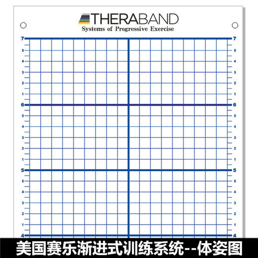 美国Thera-Band 赛乐体姿评估图 商品图0