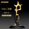 奖杯 水晶 定制五角星儿童小奖杯光荣退休纪念品优秀员工奖品制作 商品缩略图2