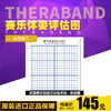 美国Thera-Band 赛乐体姿评估图 商品缩略图3