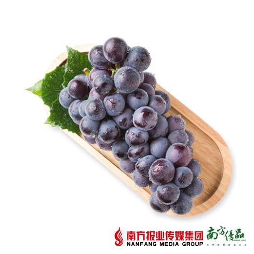 【酸甜多汁】辽宁巨峰葡萄  4.5斤-5斤/箱 商品图3