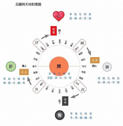 【中商原版】经络解密 卷一：开启人体奥秘的第一道金钥-----经络启航+肺经 台版原版 沈邑颖 大块出版 中医 养生 保健 商品图2