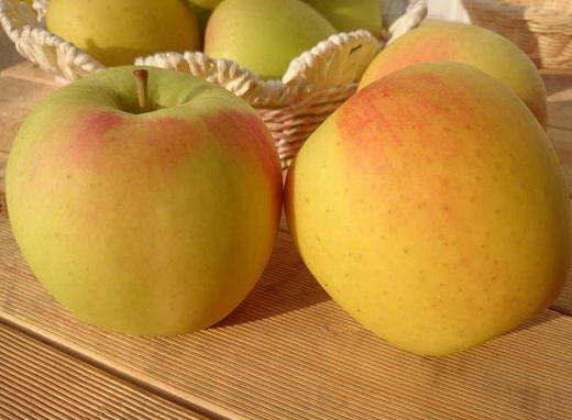 日本青森水蜜桃苹果 商品图2