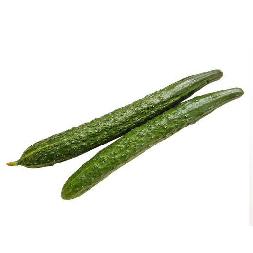 包邮彩虹雨新鲜有机蔬菜黄瓜6斤装