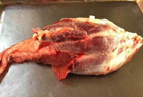 青海牦牛肉 小牛腱子4只约3.4斤左右 【预定 配送】