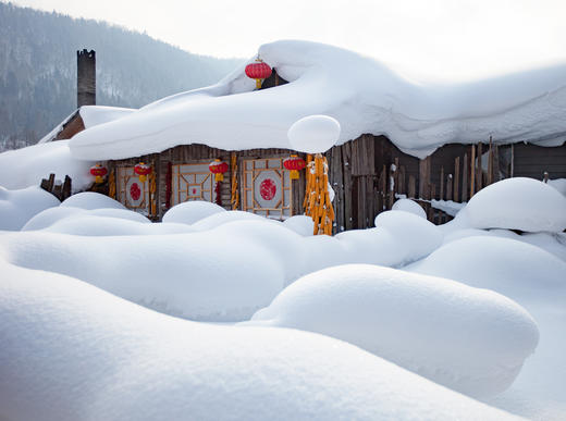 2月2日【东北冰雪恋歌】丹顶鹤、东北虎、雪乡、雾凇行摄8天 商品图10