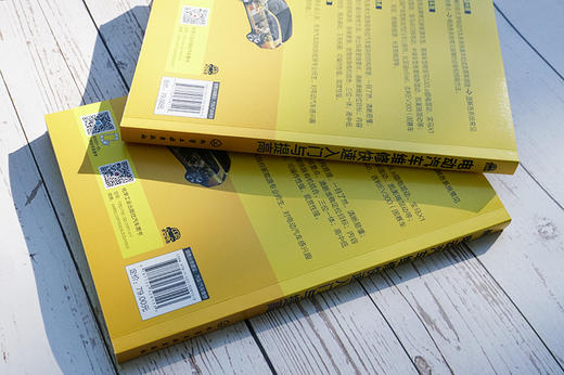 电动汽车维修快速入门与提高 商品图5