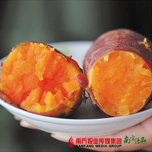 【26号提货】扶贫赣南三百山甜蜜红薯 5斤±3两 商品图1