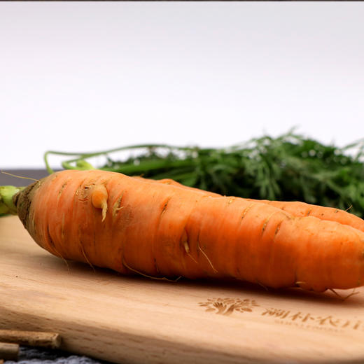 胡萝卜 500g 商品图2