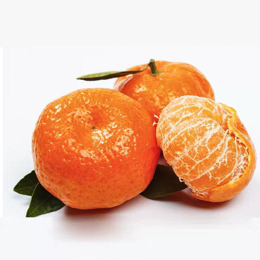 火锅季 小叶橘500g