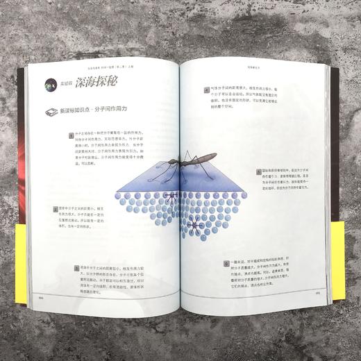 加油向未来科学一起猜（上下册） 商品图1