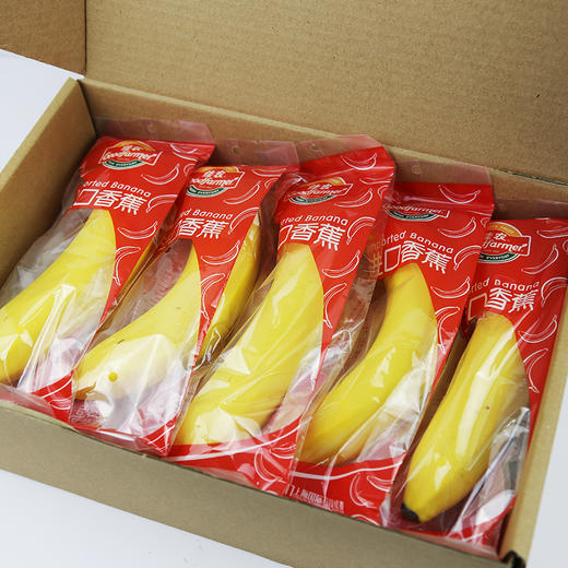 佳农进口香蕉1kg约56根单根独立包装厄瓜多尔进口