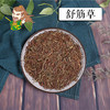 中药材批发 舒筋草 湖北 1000克/500克 商品缩略图0