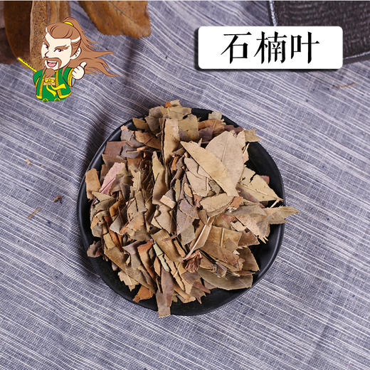 中药材批发 石楠叶  广西 1000克/500克 商品图0