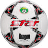 小李子:世达Star儿童小学生成人3号4号5号手缝耐磨训练比赛足球男 商品缩略图4
