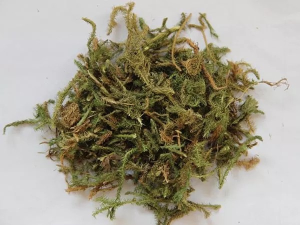 十余种草药配比而成的艾绒加热护膝