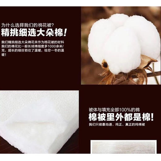 新疆特级棉胎  多尺寸可选 商品图3