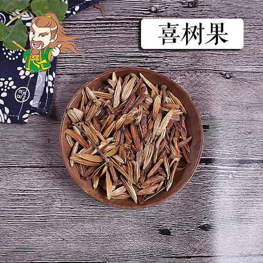 中药材批发 喜树果江西 1000克/500克 商品图0