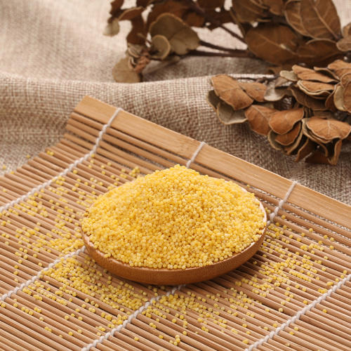 内蒙古高原蒙田有机小米套组货号122933