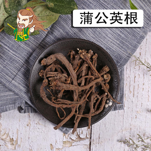 中药材批发 蒲公英根东北
 1000克/500克 商品图0