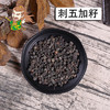 中药材批发 刺五加籽（东北） 1000克/500克 商品缩略图0