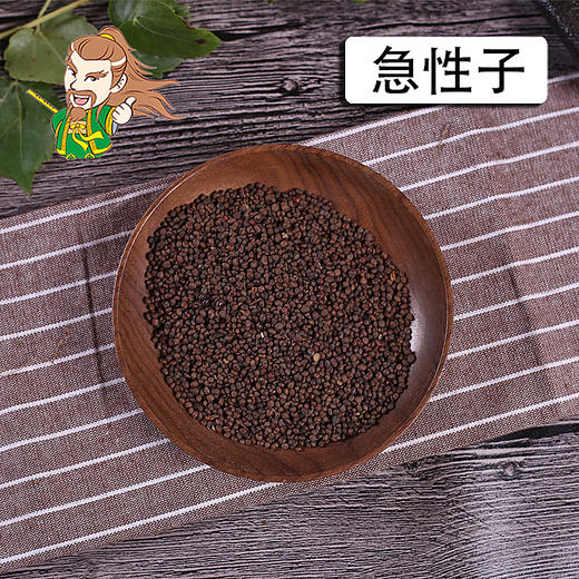 中药材批发 急性子安徽 1000克/500克 商品图0