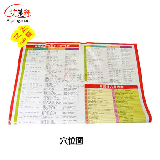 家庭艾灸 人体经络图 穴位图 附常用施灸参考 商品图1