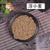 中药材批发 浮小麦 安徽1000克/500克 商品缩略图0