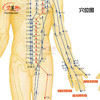 家庭艾灸 人体经络图 穴位图 附常用施灸参考 商品缩略图2