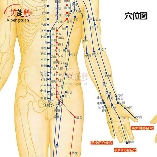 家庭艾灸人體經絡圖穴位圖附常用病例施灸參考